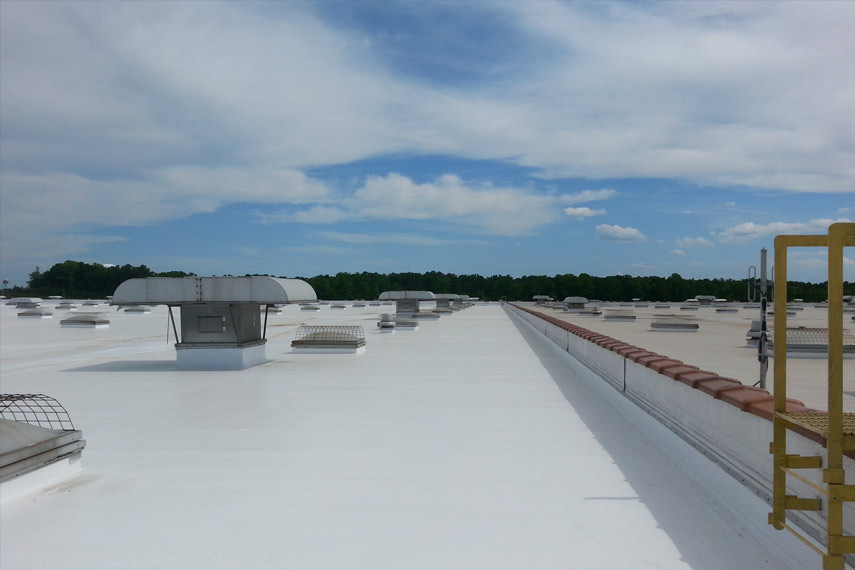Slopping Roof & Terraces | Polymeric Membrane Coating Paint / Liquid Waterproofing Membrane-Manufacturer Supplier | Protexion